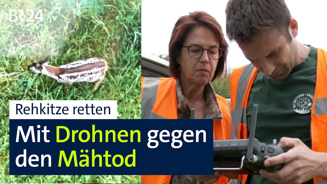 Ehrenamtliche Kitzretter: So helfen bewahren sie Rehkitze vor dem M&auml;htod | Abendschau | BR24