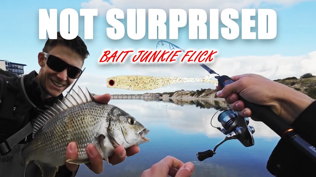 FIRST LOOK Daiwa Baitjunkie Flick 2.95