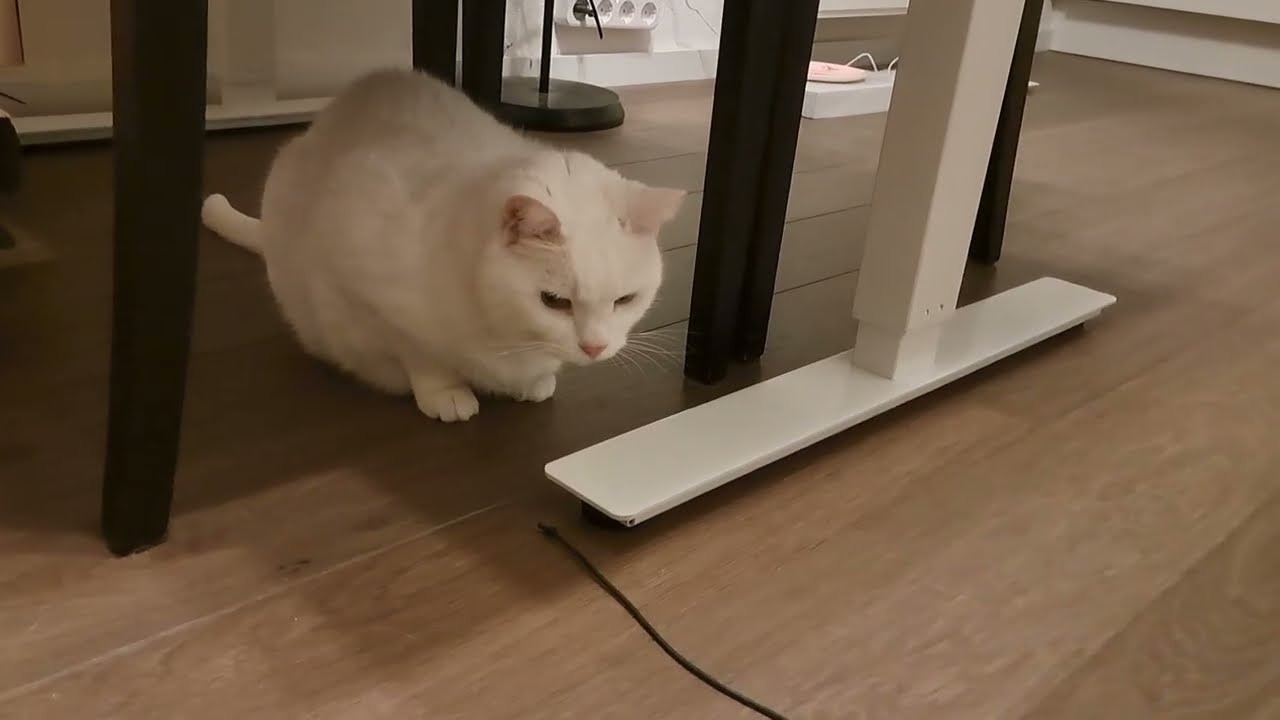 String