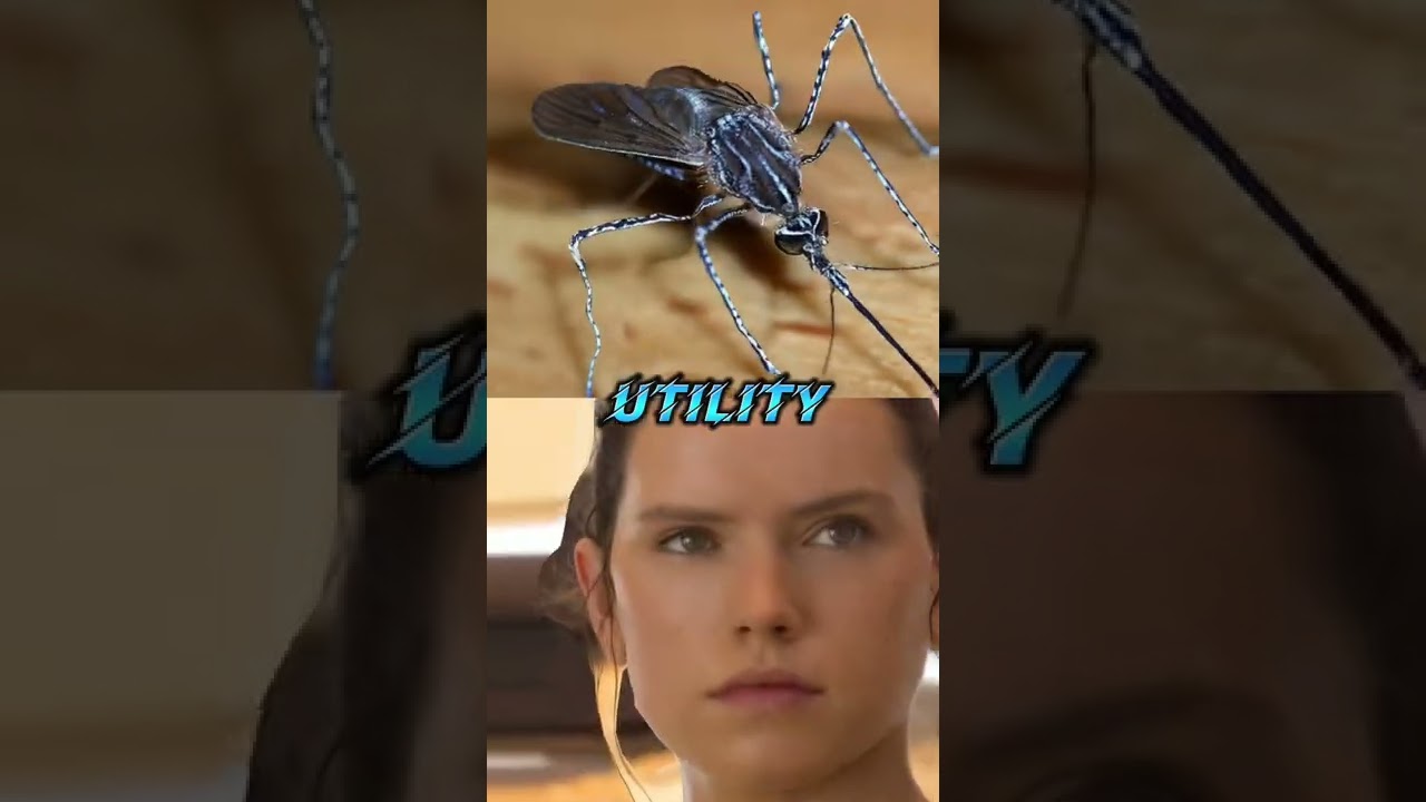 Mosquito Skywalker VS Rey Nobody