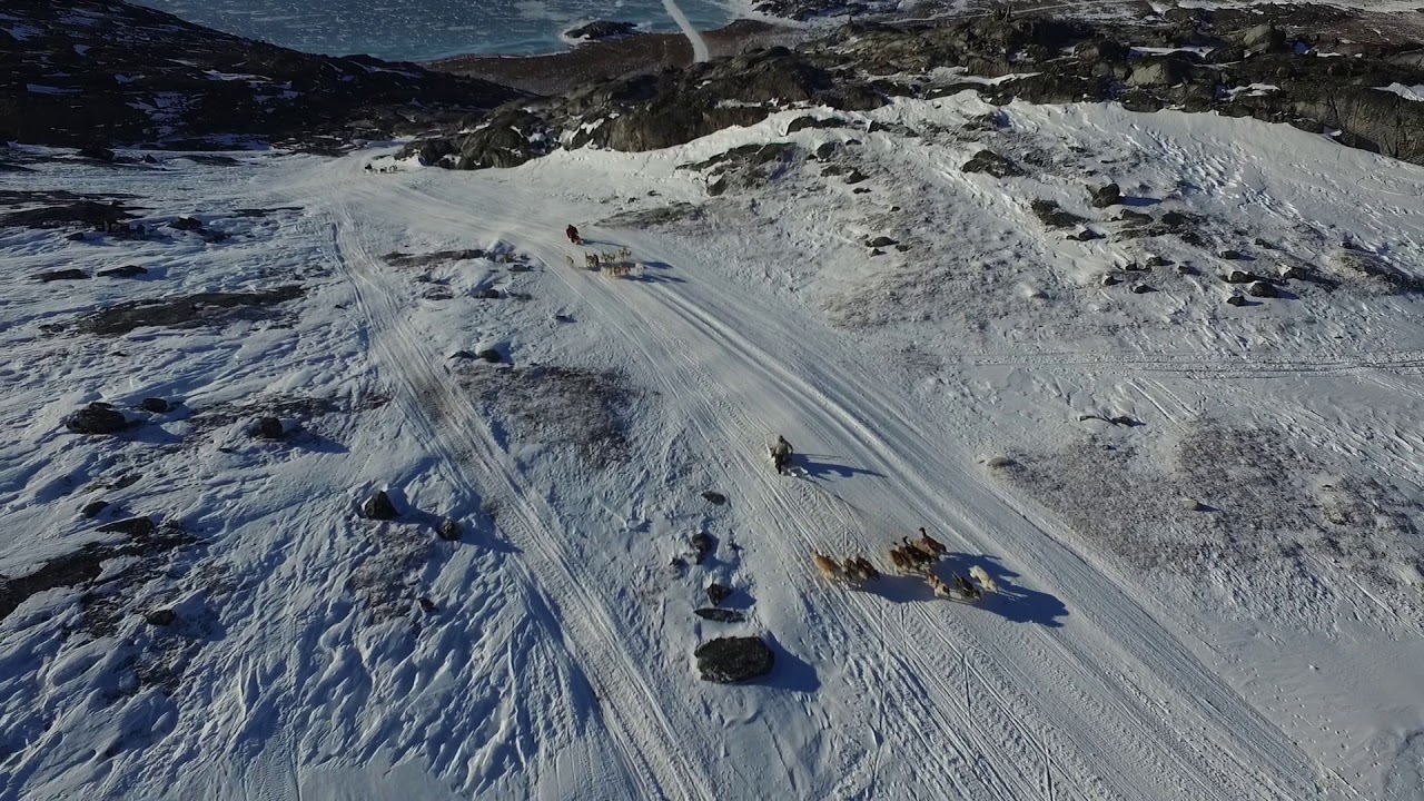 Qimussimik Anngunniuunneq 2019 Ilulissat Dogsled Race