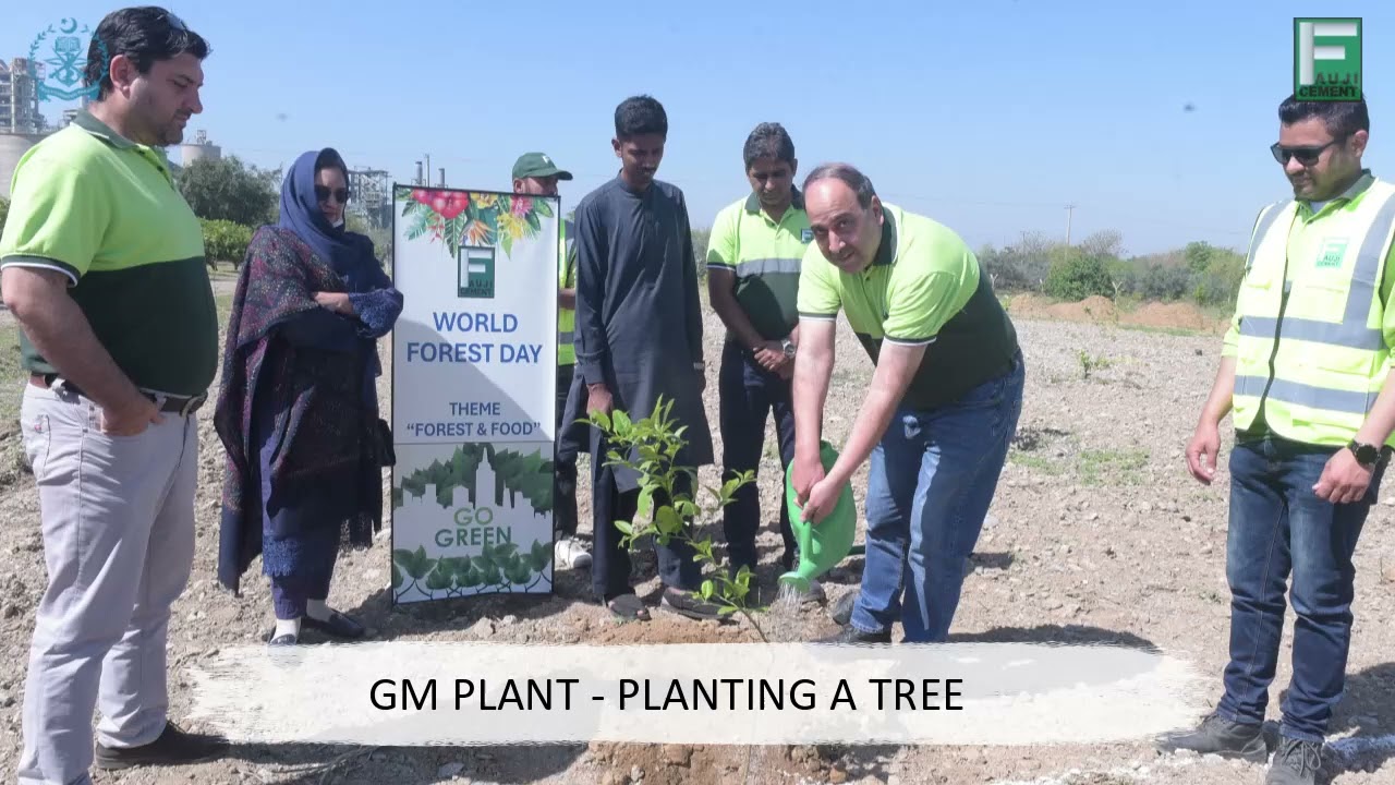 Tree Plantation - Jhang Bahtar