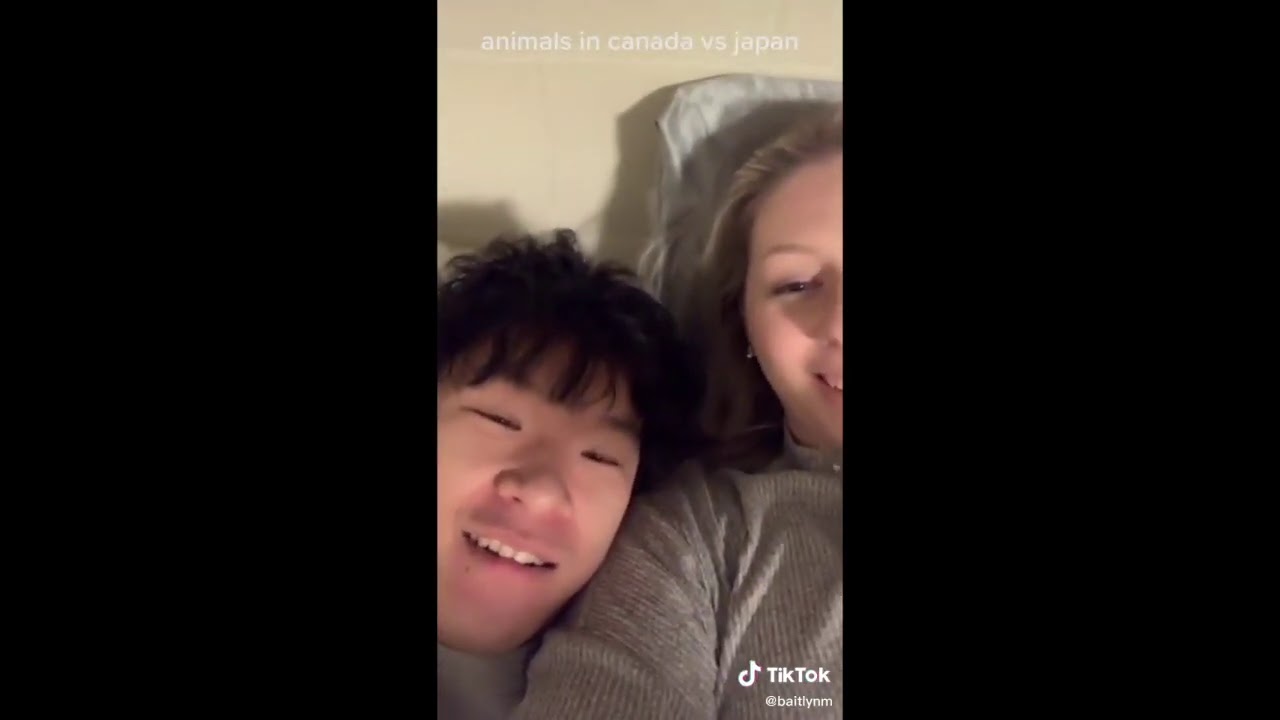 wholesome tik toks that fill me with joy