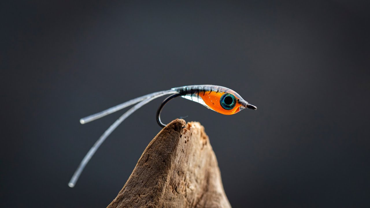 This is one of the coolest flies i have EVER MADE! New School FLY TYING!