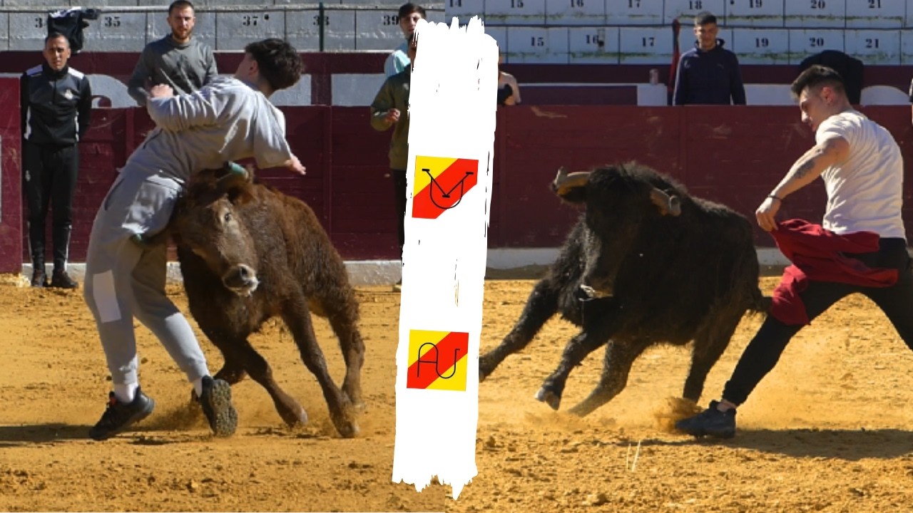 DETALLAZOS  //  Tienta privada Tarazona