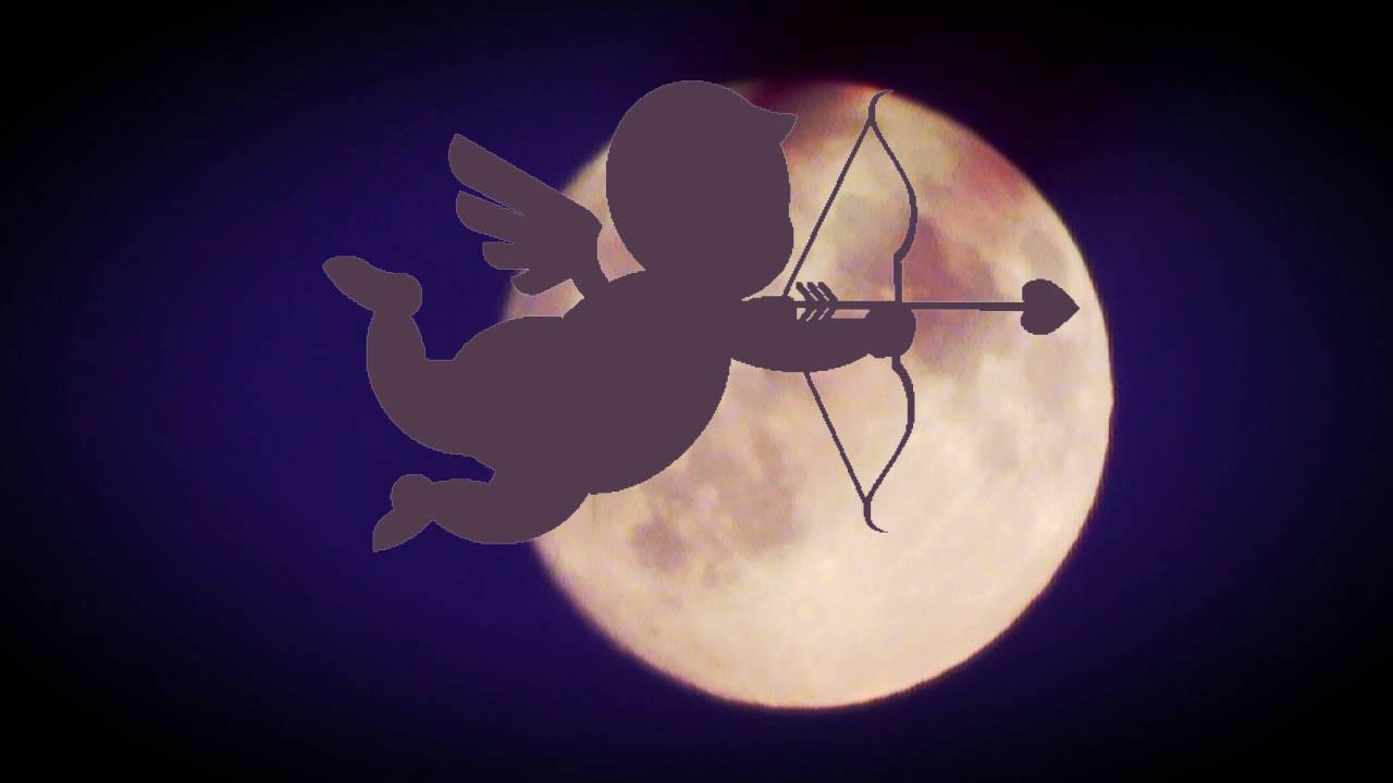 The Moon