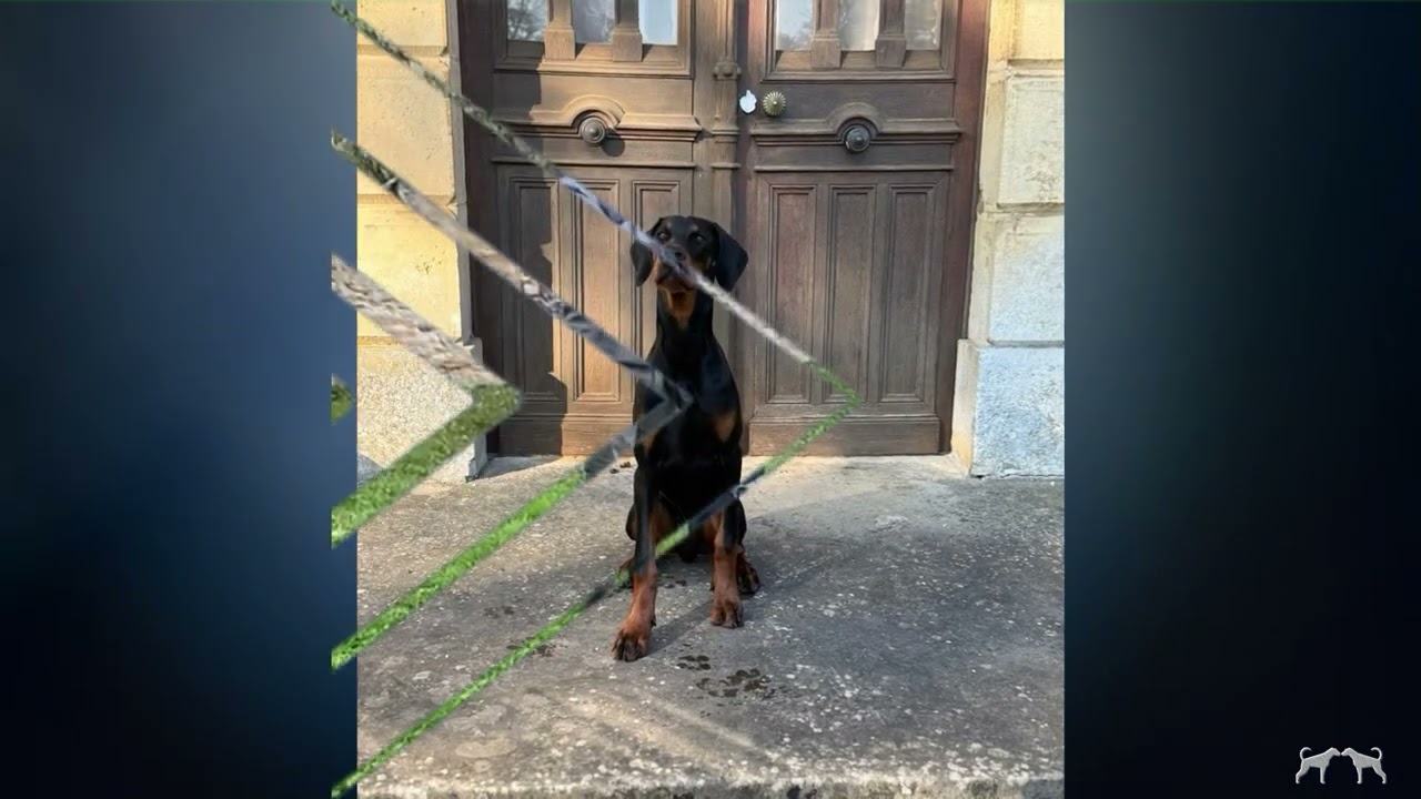 ATHOS DELLA GUARDIA NERA