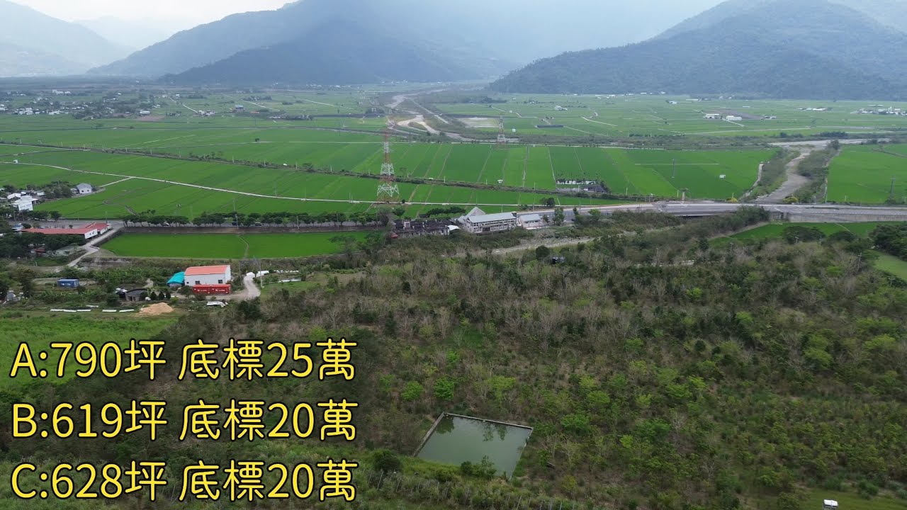 微風一吹，農地周遭整片天然木質檀香味（逾期未辦繼承）花蓮富里｜代標專線0952-686-970盧榮昌