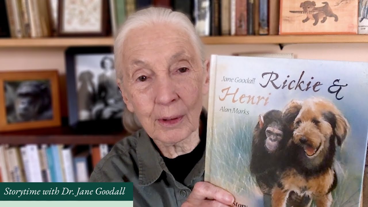Rickie and Henri read by Dr. Jane Goodall
