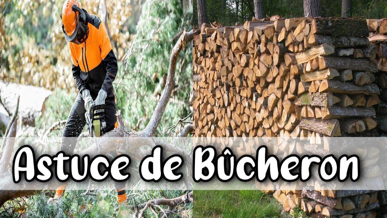 AUTONOMIE CHAUFFAGE ASTUCE de BÛCHERON : Tronçonneuse & Empiler Nickel le bois de chauffage à ranger