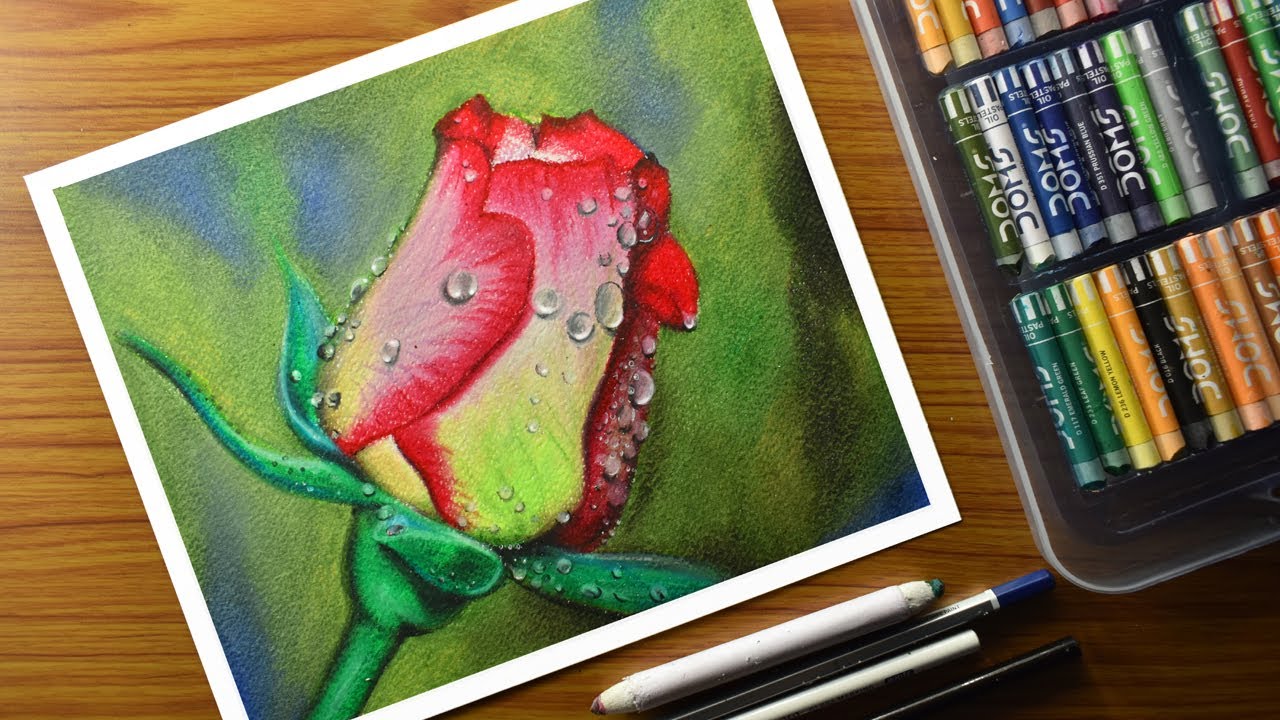 Oil Pastel Drawing_ rose with water drops_ how to draw water drops on rose_ step by step
