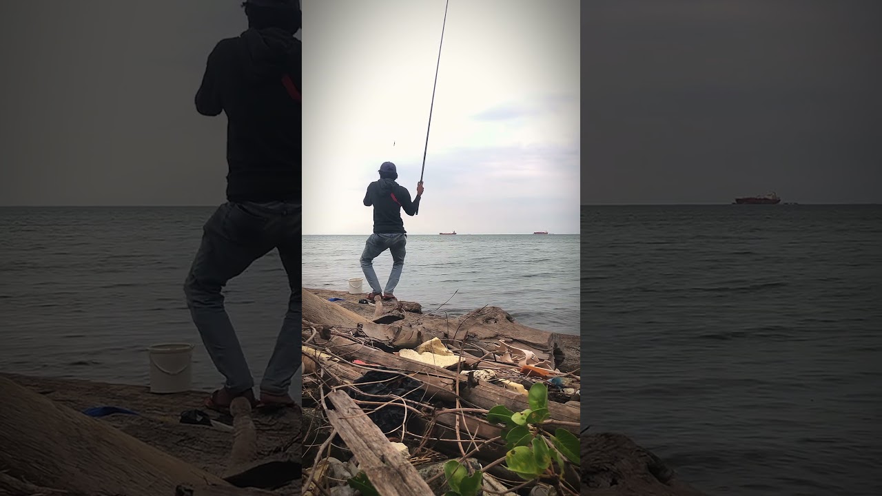 Mancing baronang liar saat air pasang #pemancingliar #fishing #mancingbaronang