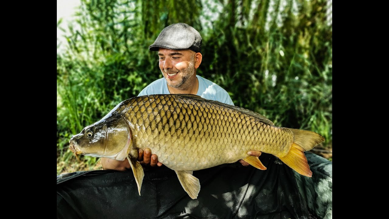 2horog 1szerre 1szájban 👀- Szép halak élnek a Don Carp....ban :D 🐟(június)