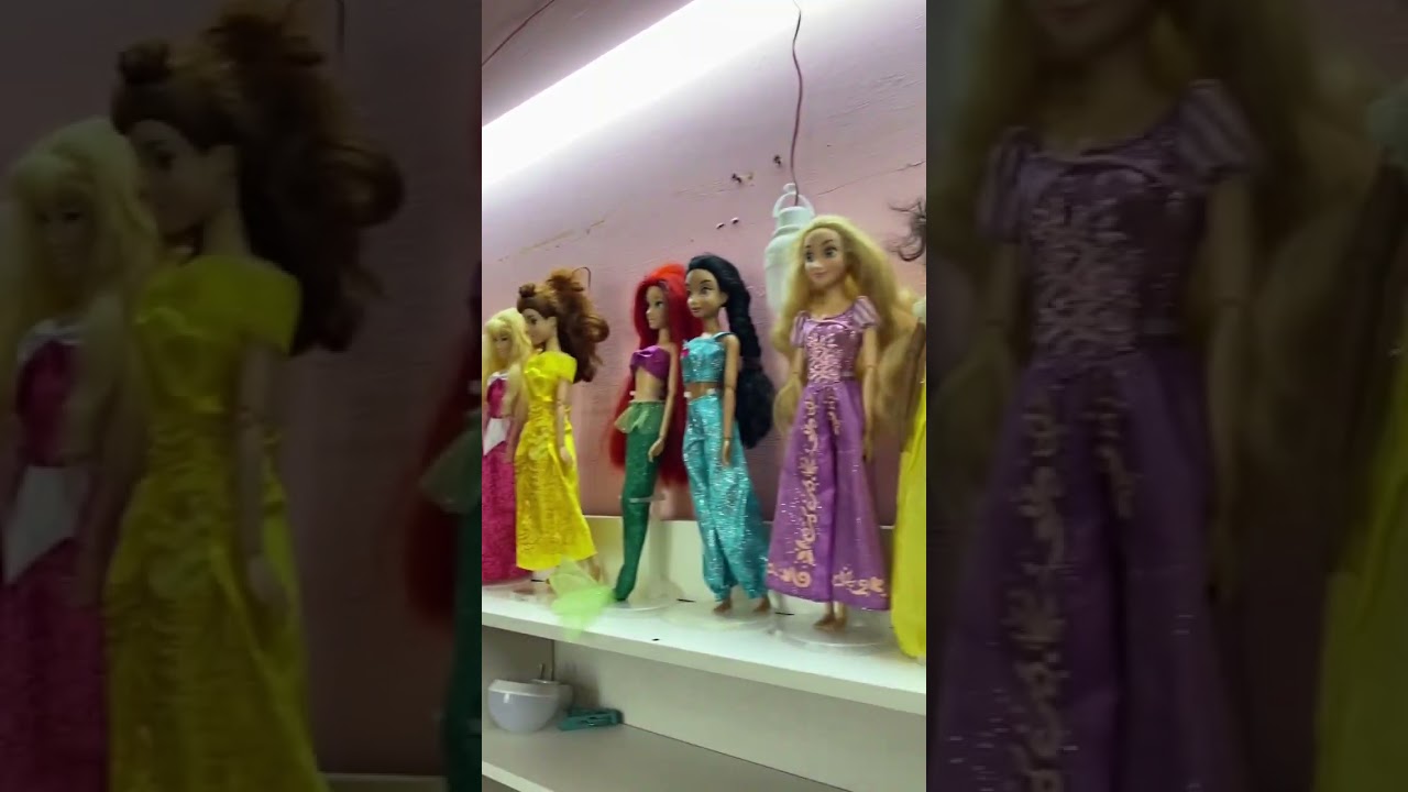 DISNEY PRINCESS COLLECTION’S 