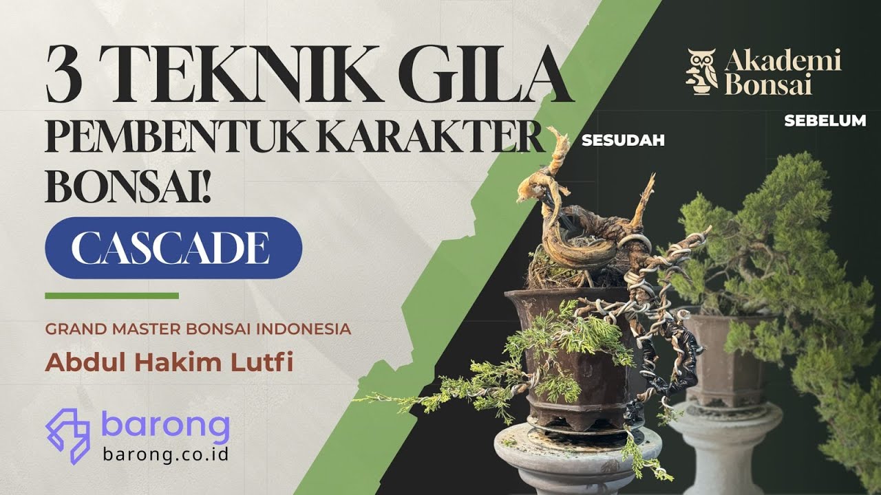 3 Teknik Gila Pembentukan Karakter Bonsai