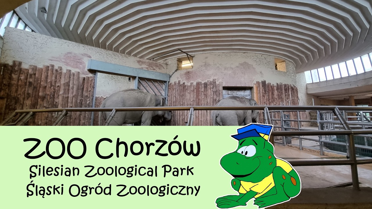 ZOO Chorzów, zomer 2025