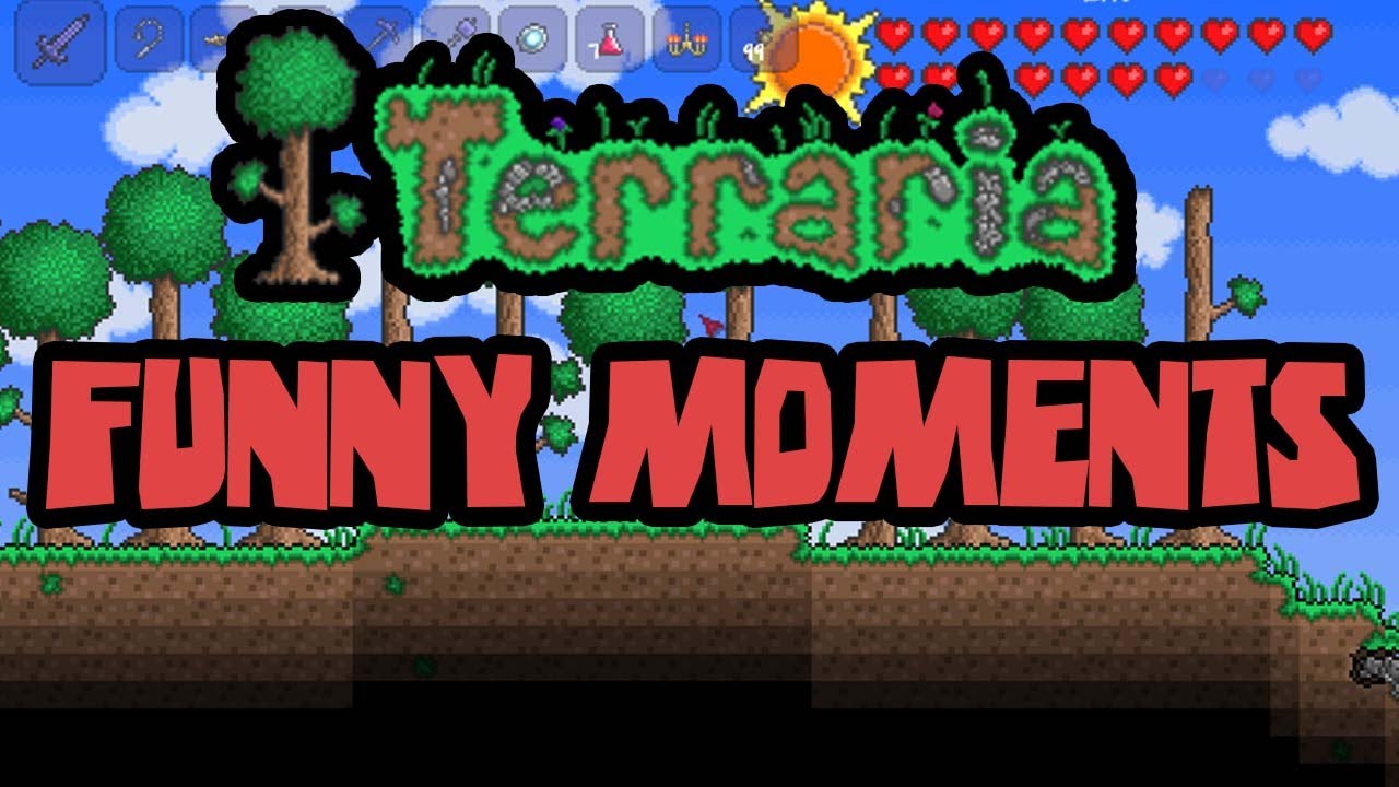 Terraria Funny Moments