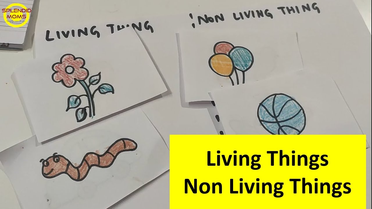 Living things Non Living Things || EVS PP2 UKG