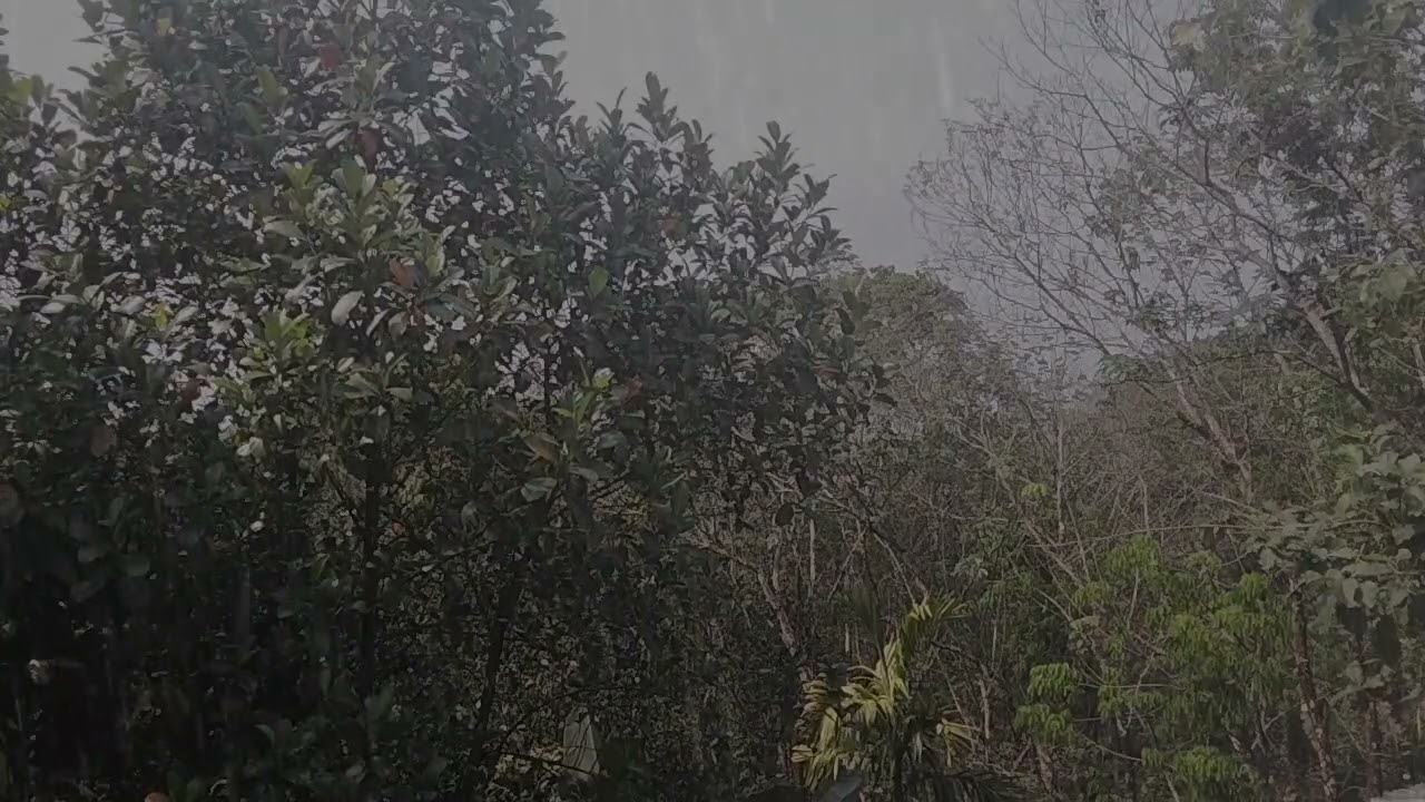 relax your mind with rain and thunder sounds | rain sounds