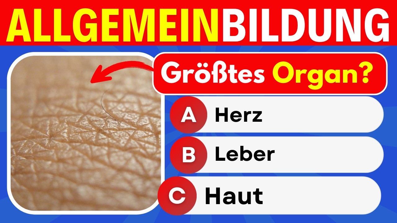Allgemeinwissen-Quiz: 30 spannende Fragen quer durch alle Themen