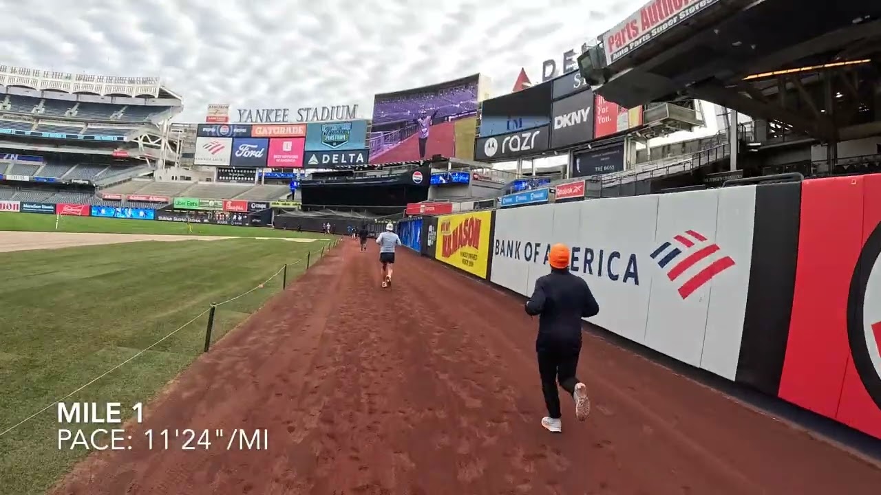 NY Yankees Pinstripe 5K 2025