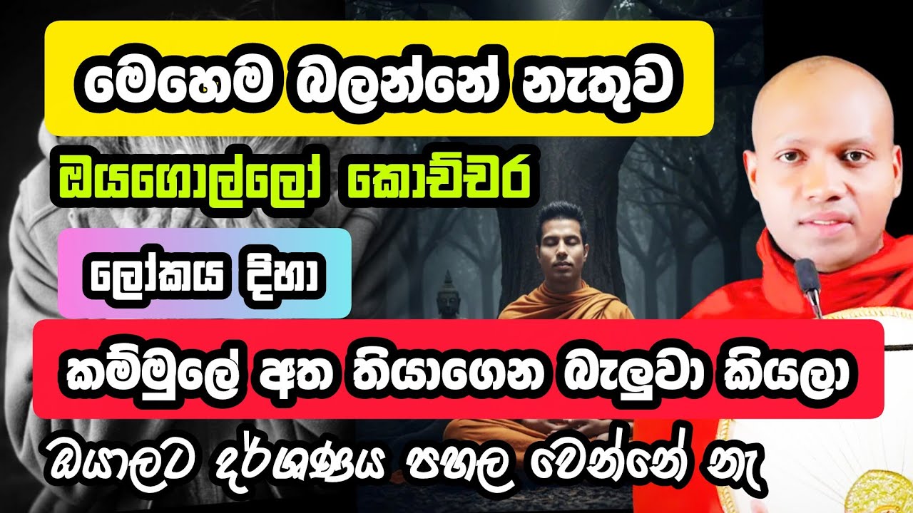 ජිවිතේ ගැන? | Hasalaka Seelawimala  | හසලක සීලවිමල හිමි | #hasalakaseelawimalathero 