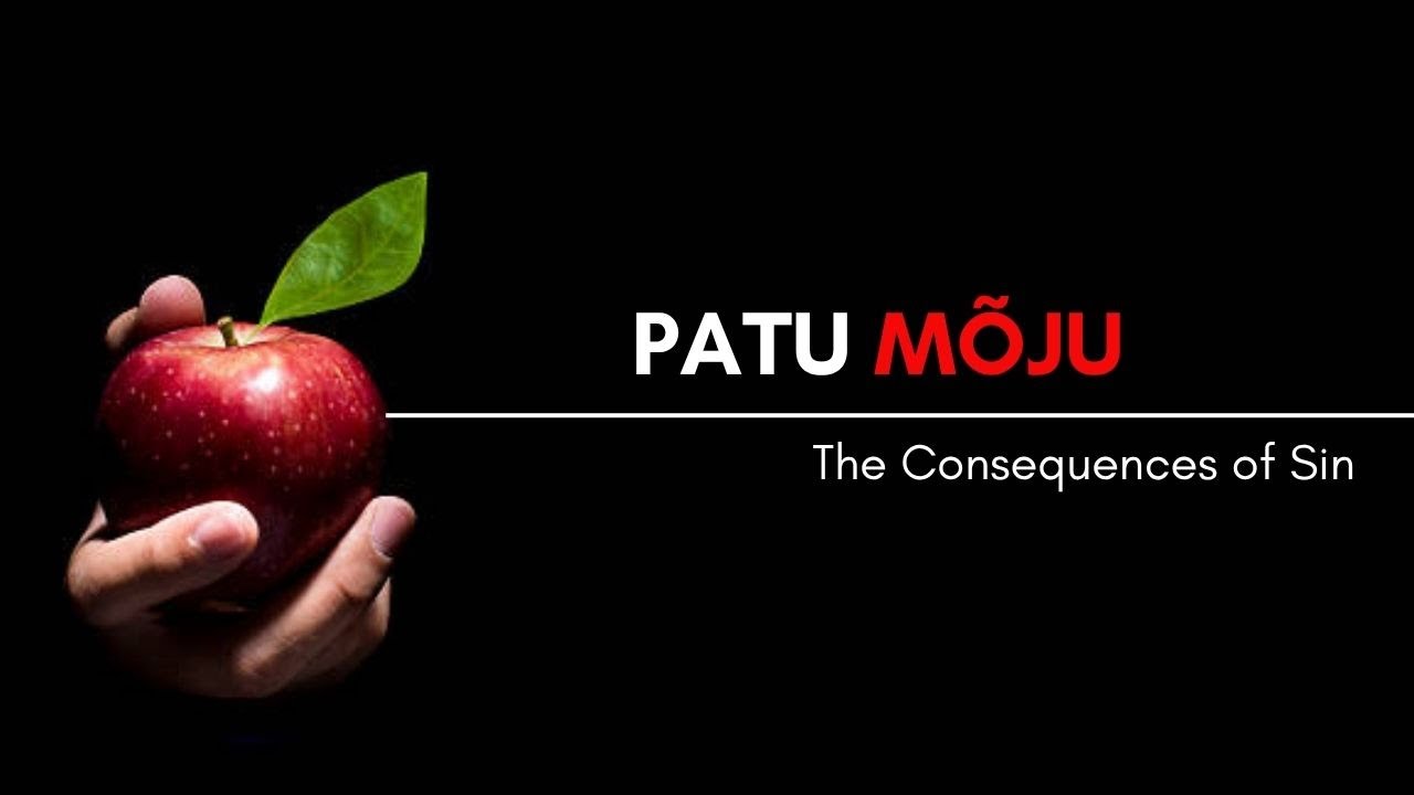 Timo Lige jutlus - Patu mõju