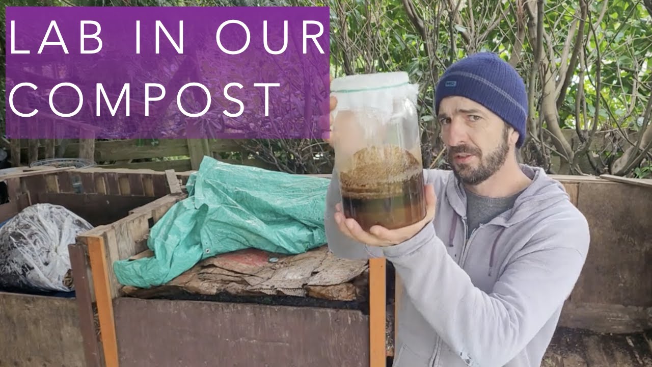 How Lactobacillus affects a cooling compost pile