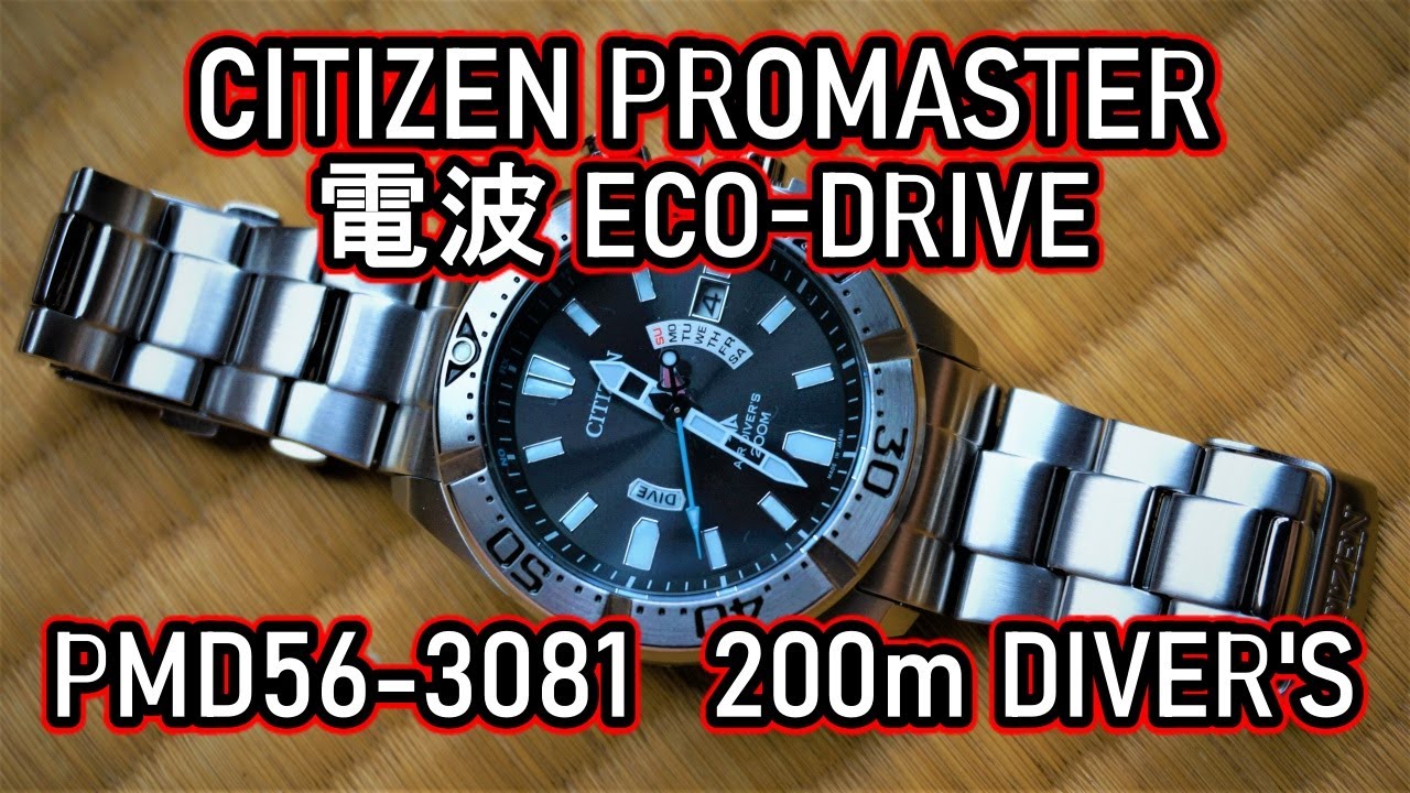 PMD56 3081