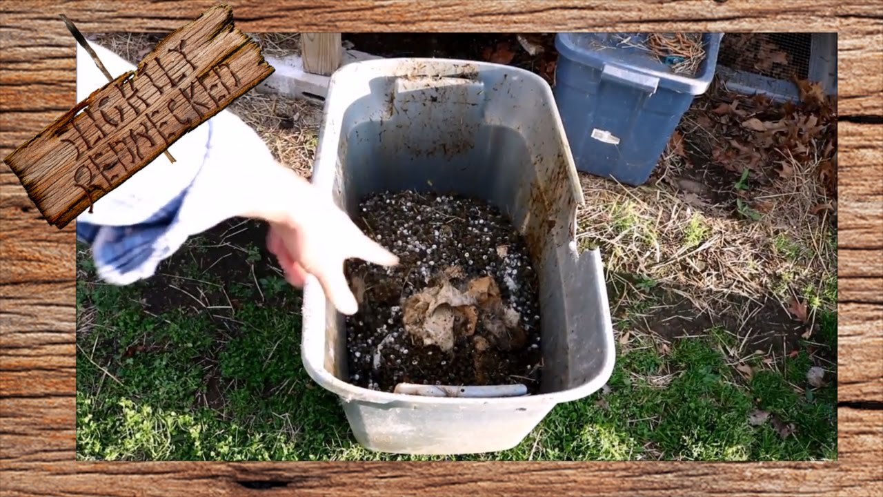 Dealing With Rabbit Waste: The SR Rabbit Update 4-4-17