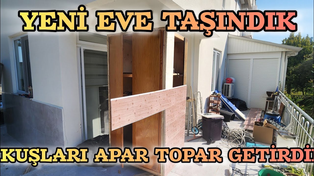 YENİ EVİMİZE TAŞINIP KUŞLARI GÖTÜRDÜK KÜMES ORTADA YOK
