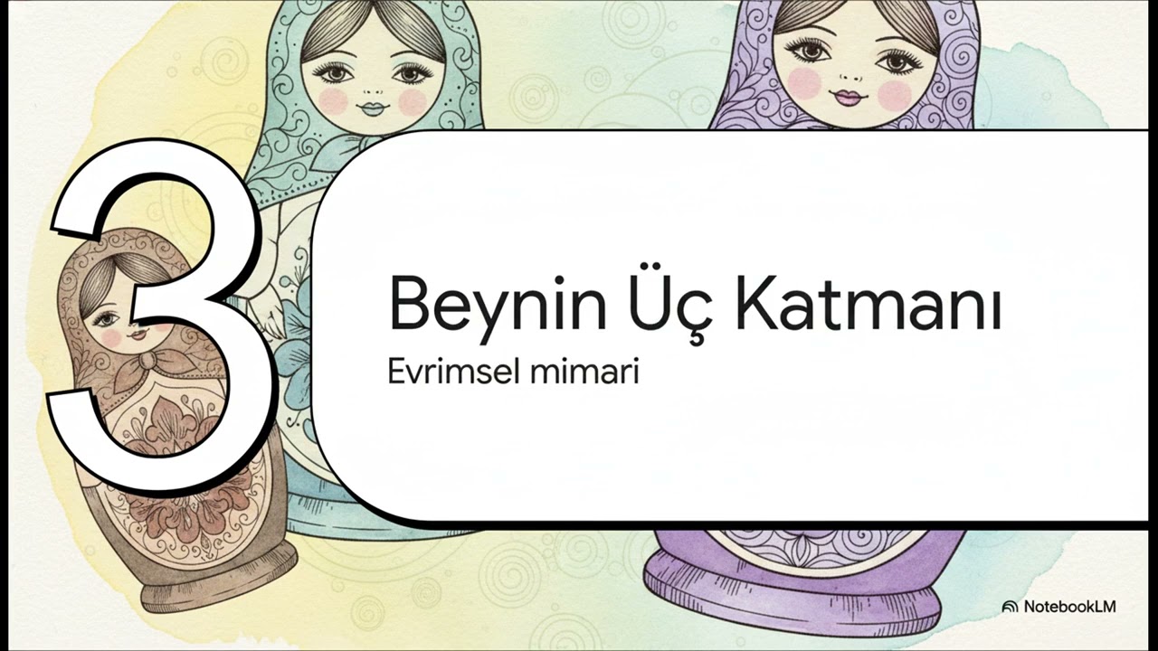 Psikolojiye Giriş 4 (Beyni Tanıyalım) Psikoloji Dersleri - 
