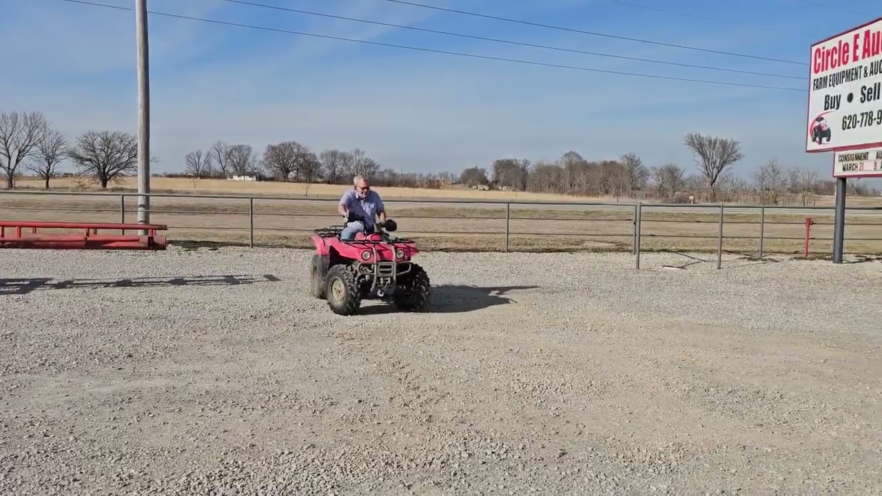 YAMAHA BIG BEAR 400 For Sale