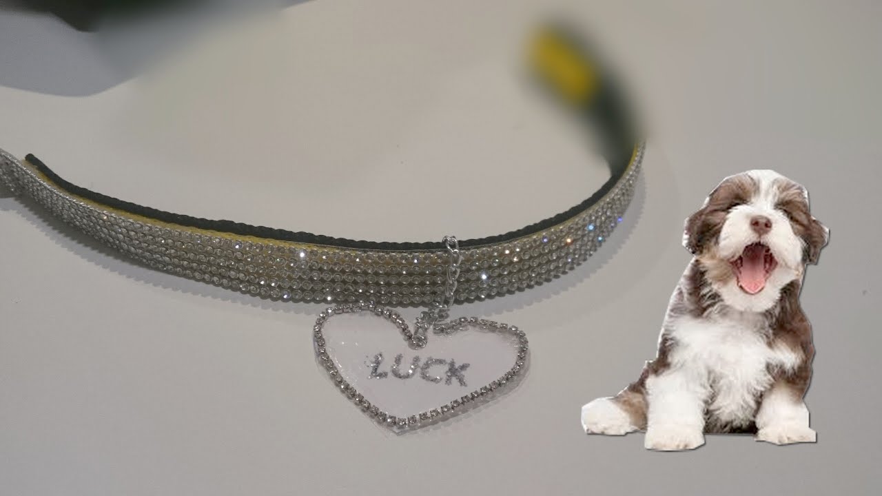DIY ♥ COMO FAZER COLEIRA FASHION PARA SEU CACHORRO E GATO | Amelia Requintada