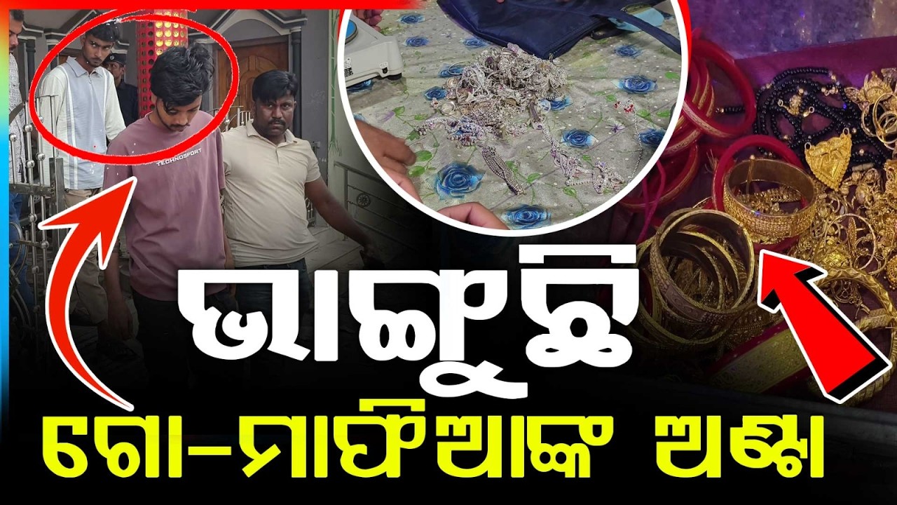 ଭାଙ୍ଗୁଛି ଗୋ-ମାଫିଆଙ୍କ ଅଣ୍ଟା | Police Raid on Cow Mafia in Odisha | Bhadrak | Odisha News | Argus News