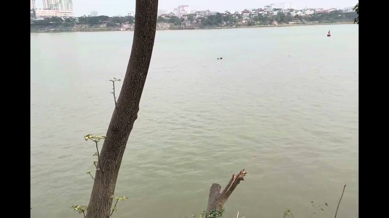 Bơi S&ocirc;ng Hồng