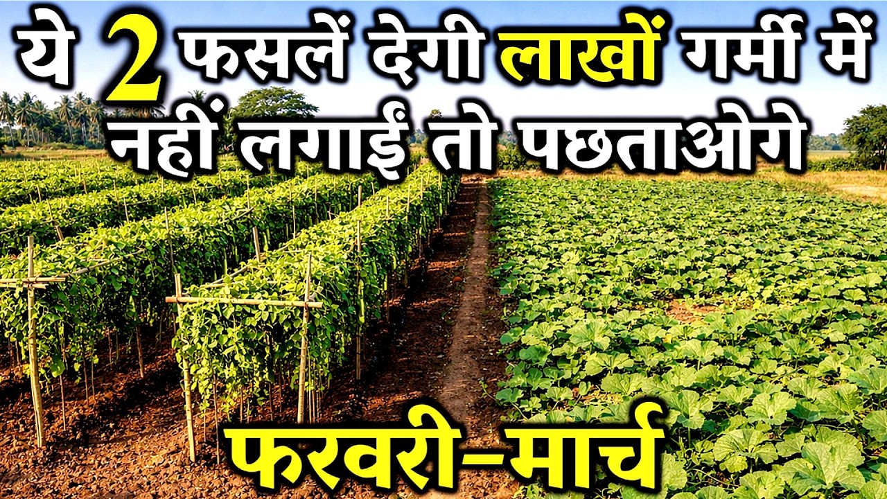 फरवरी मार्च में में लगाये ये 2 सब्जियां, कम लागत ज्यादा मुनाफा | Febuary March Me Konsi Sabji Lagaye