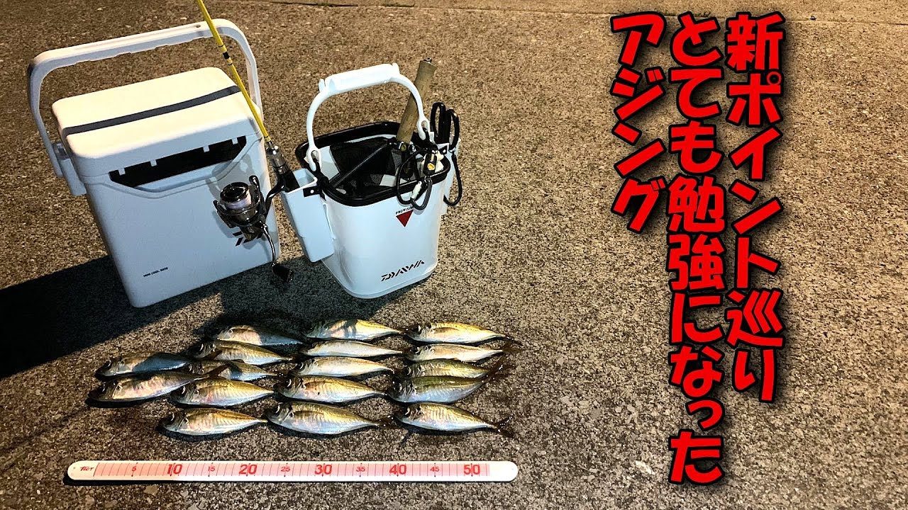 梅雨アジング　苦戦する中で答えを見つける