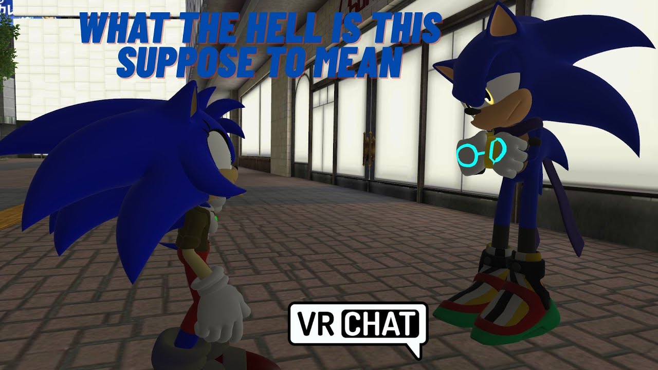 What the hell is this supposed to mean. Alex meets Nikki the Hedgehog. VRChat.