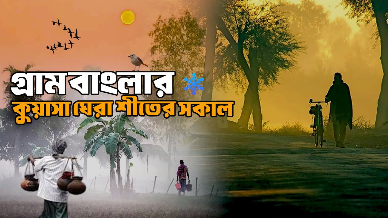 গ্রাম বাংলার কুয়াশাচ্ছন্ন শীতের সকাল | Wonderful Winter season in Bangladesh | I m Run Vlogs