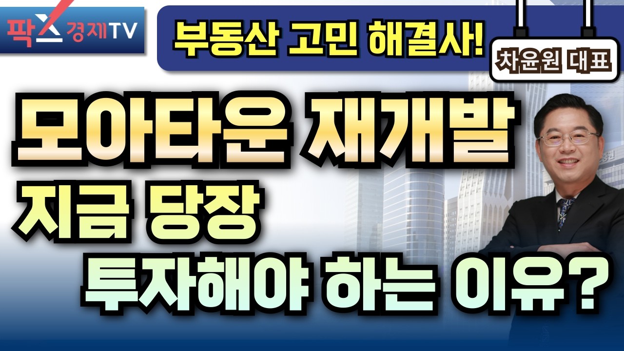 모아타운 재개발 투자, 가장 빠른 아파트 공급의 답이다?! [250205 부동산 고민 무엇이든 물어보세요 차윤원 대표]