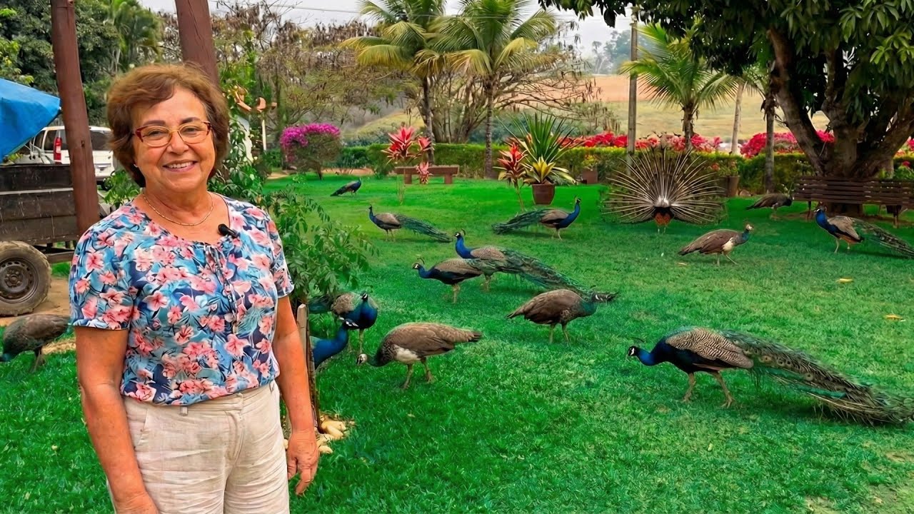 COM MUITOS ANIMAIS E PLANTAS O SÍTIO MAIS PARECE UM PARAÍSO