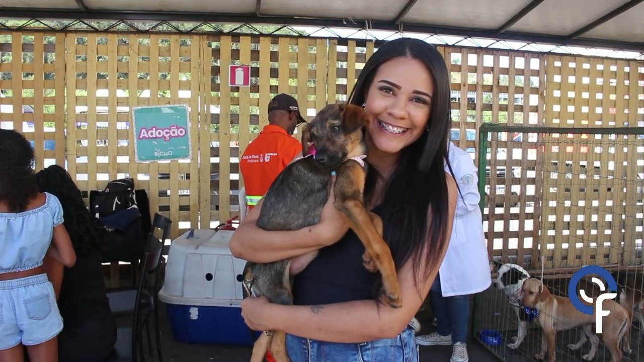 Jornal da Facom 1ª edição - Turma B - 2025.2