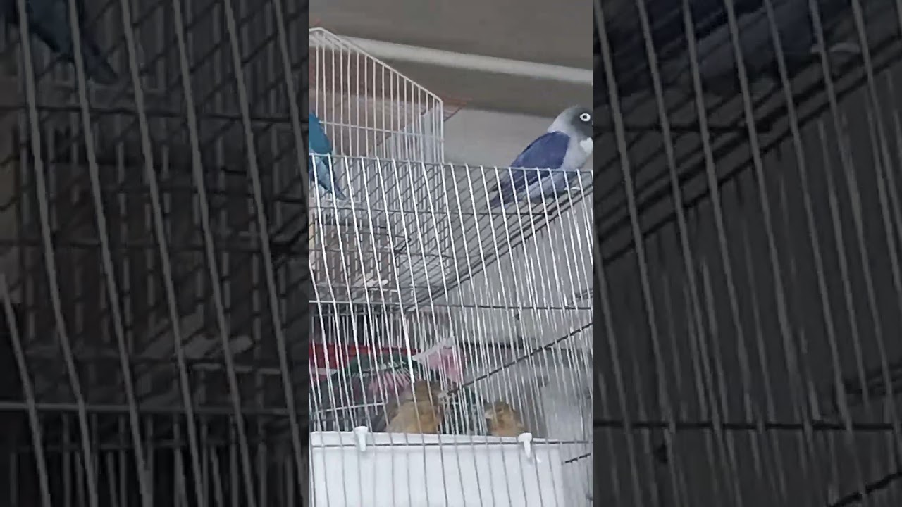 ۳۱ دسامبر ۲۰۲۵