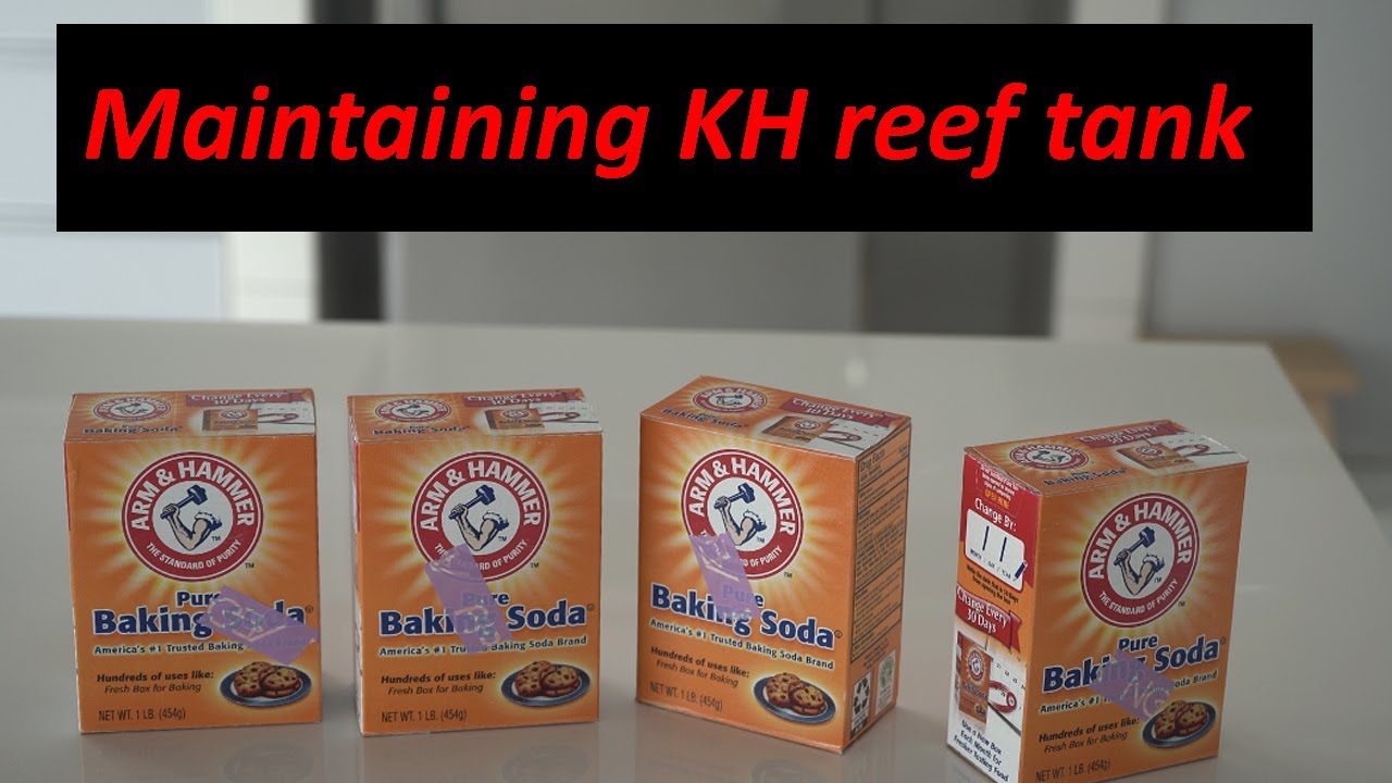 Dosing Kh in reef tank using Soda powder or Soda ash