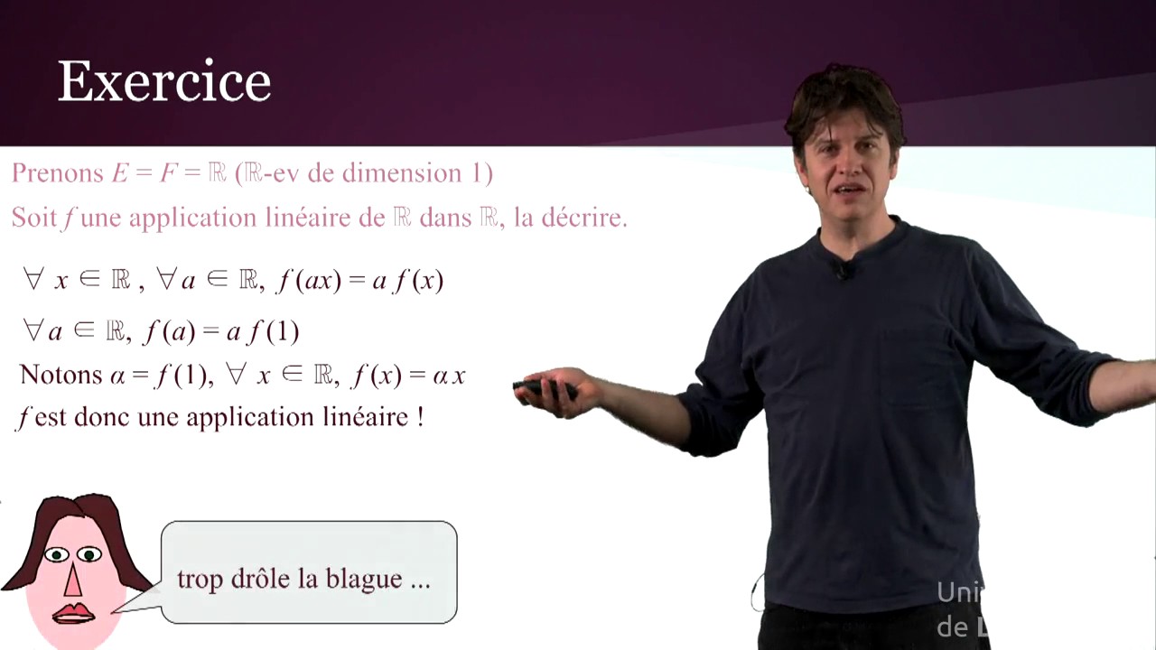 Applications lin&eacute;aires (1/15) : D&eacute;couverte