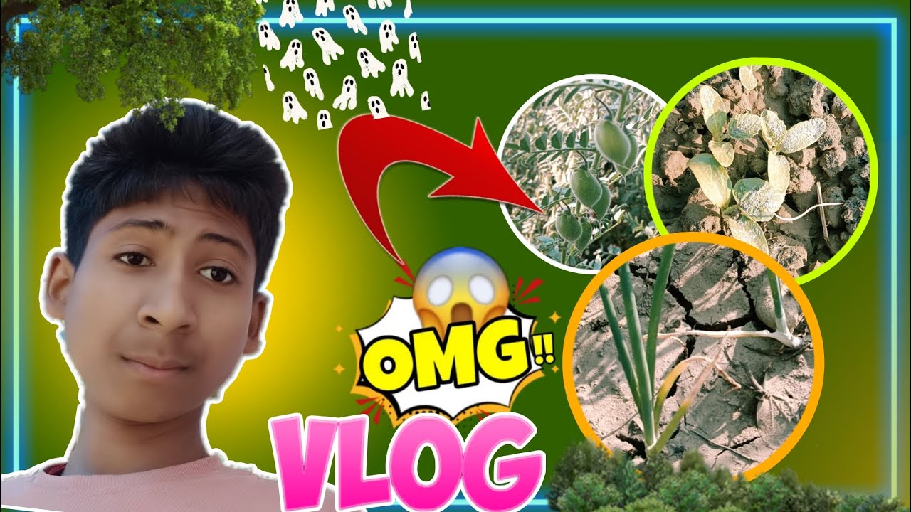 Krashi karya.  🤣#video #vlog #funny 