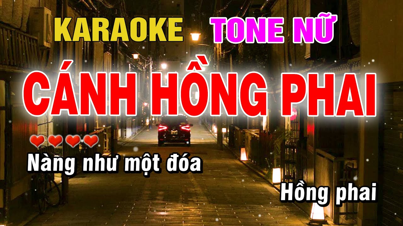 Cánh Hồng Phai Karaoke Tone Nữ Beat Hay | Karaoke Chill