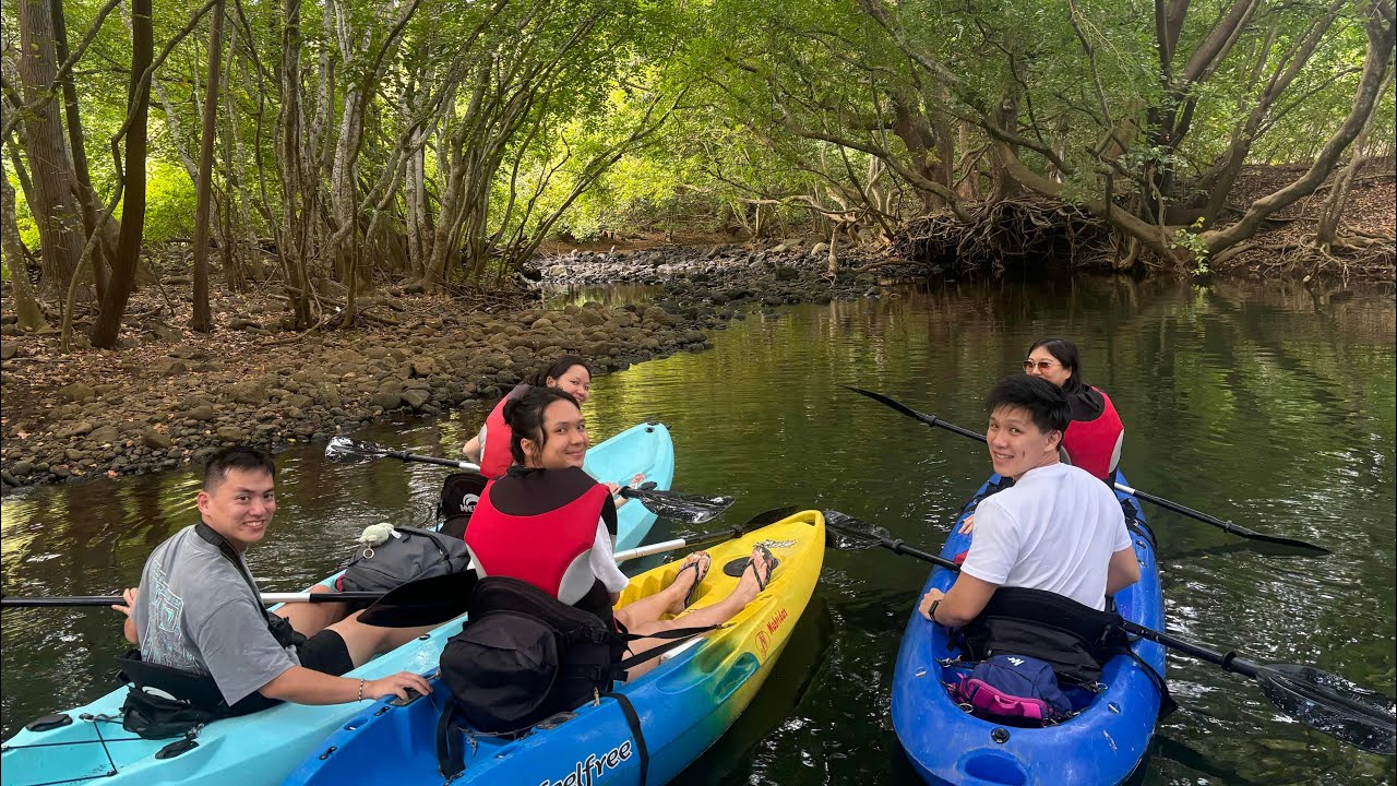Sunset Kayaking in Mauritius 🇲🇺 - Peaceful Adventure on La Riviere Tamarin.