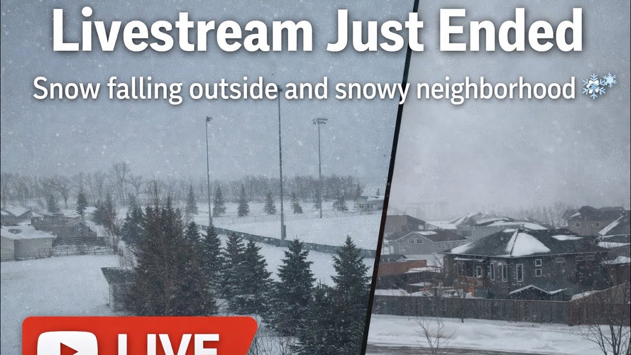 Snow falling outside, warm coffee inside ❄️☕ join the cozy looks chat a beautiful winter window view